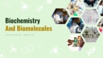 Biochemistry Biomolecules Template PPT Google Slides