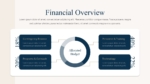 Financial Overview PowerPoint Google Slides