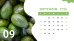 2026 September Calendar Template for PowerPoint and Google Slides