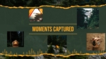 Photo gallery slide in Forest Camping Adventure Template featuring forest and camping moments.