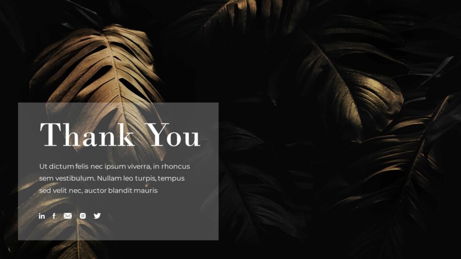 An Image That Shows a Business Presentation Thank You Template