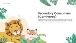 An Image that Shows Secondary Consumers-Carnivores Template. Use the Food Chain Templates for PowerPoint and Google Slides