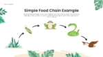 An Image That Shows Simple Food Chain Example Templates for PowerPoint and Google Slides. Use the Food Chain Templates for PowerPoint and Google Slides