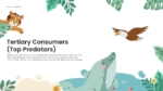 An Image That Shows Tertiary Consumers-Top Predators Presentation Template. Use the Food Chain Templates for PowerPoint and Google Slides
