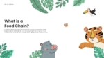 An Image that show What is a Food Chain Templates. Use the Food Chain Templates for PowerPoint and Google Slides