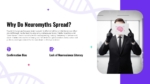 Why Do Neuromyths Spread presentation slide featuring neuroscience awareness visuals, confirmation bias concepts, and educational content on misconceptions about brain science and learning.