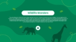 Wildlife wonders presentation slide with green background, animal silhouettes, leaf illustrations, and educational content about ecosystems, conservation, and wildlife habitats.