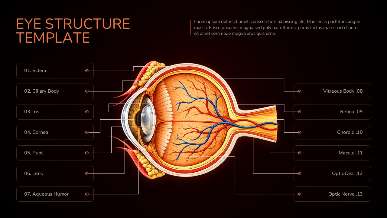 Detailed human eye structure anatomy diagram PowerPoint template with labeled parts including sclera, cornea, iris, lens, retina, macula, choroid, optic disc, optic nerve, vitreous body, ciliary body, pupil, and aqueous humor on a dark background.