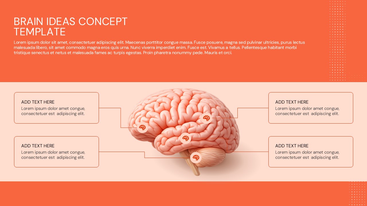 Brain ideas concept presentation slide featuring a realistic human brain with four connected callout boxes for illustrating brainstorming, mind mapping, cognitive processes, innovation, and concept visualization in PowerPoint and Google Slides.
