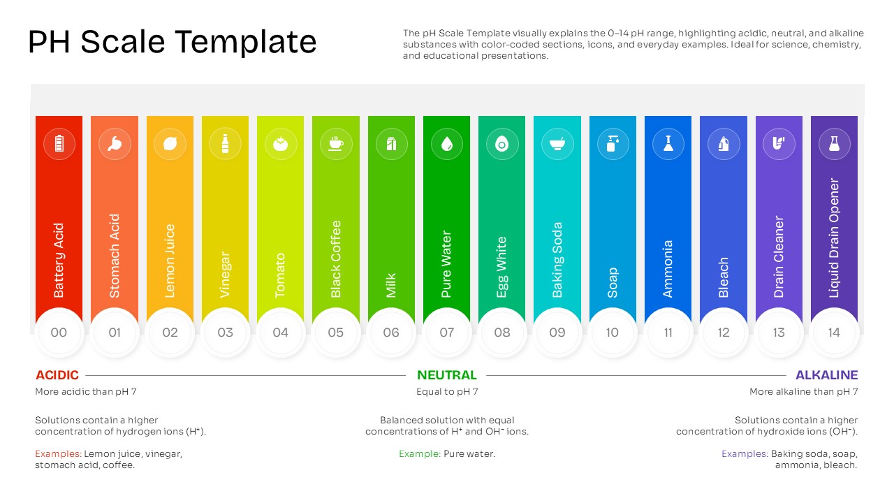 pH Scale Template showing the 0–14 pH range from acidic to alkaline, with everyday examples including lemon juice, vinegar, coffee, pure water, baking soda, soap, ammonia, and bleach.