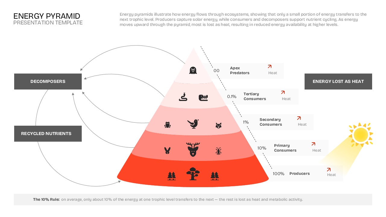Energy Pyramid presentation template showing producers, consumers, apex predators, decomposers, recycled nutrients, solar energy, and the 10% energy transfer rule.