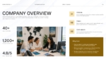 Travel agency company overview slide with mission, vision, values, and business metrics.